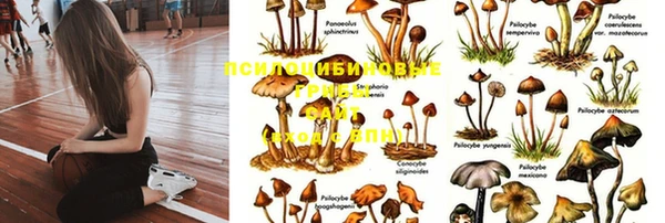 первитин Баксан