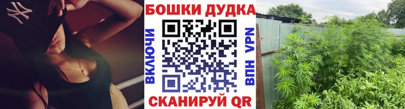 Марихуана гибрид  Краснозаводск 
